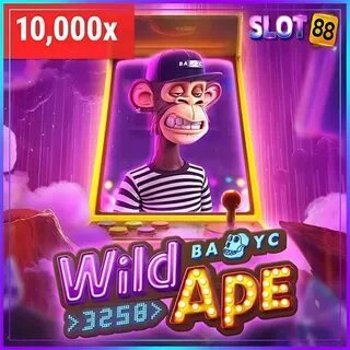 fortune rabbit akak com ltd co 
