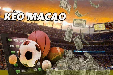 lotofacil 3572 