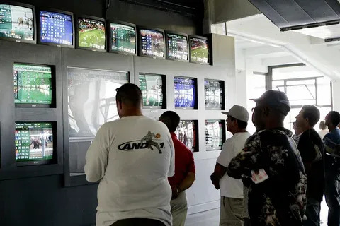 quantos baralhos no blackjack 