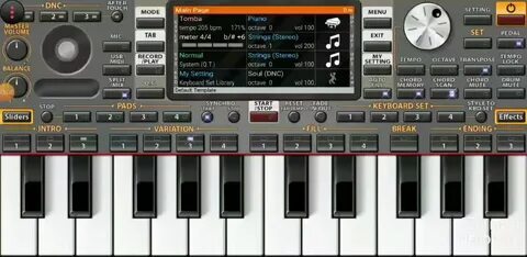 tt999 fortune rabbit 